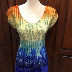 Cap/dolman sleeve ribbed/pleated blouse.